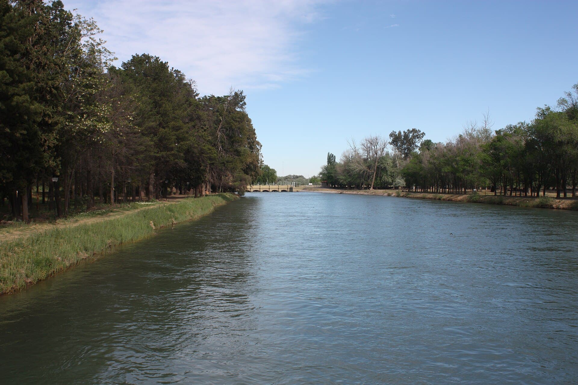 Canal principal de riego del Alto Valle del río Negro, recto entre dos hileras de álamos